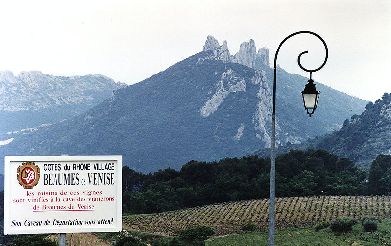 Beaumes-de-Venise, More Than Just Muscat