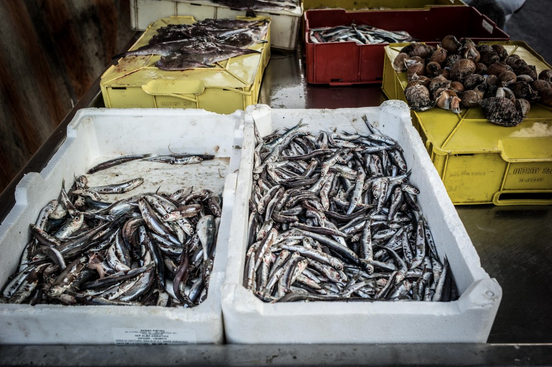 Scenes from Puglia