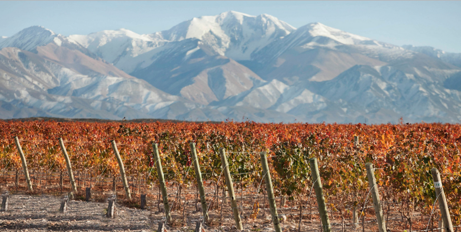 Mendoza: Where to Eat, Where to Sleep
