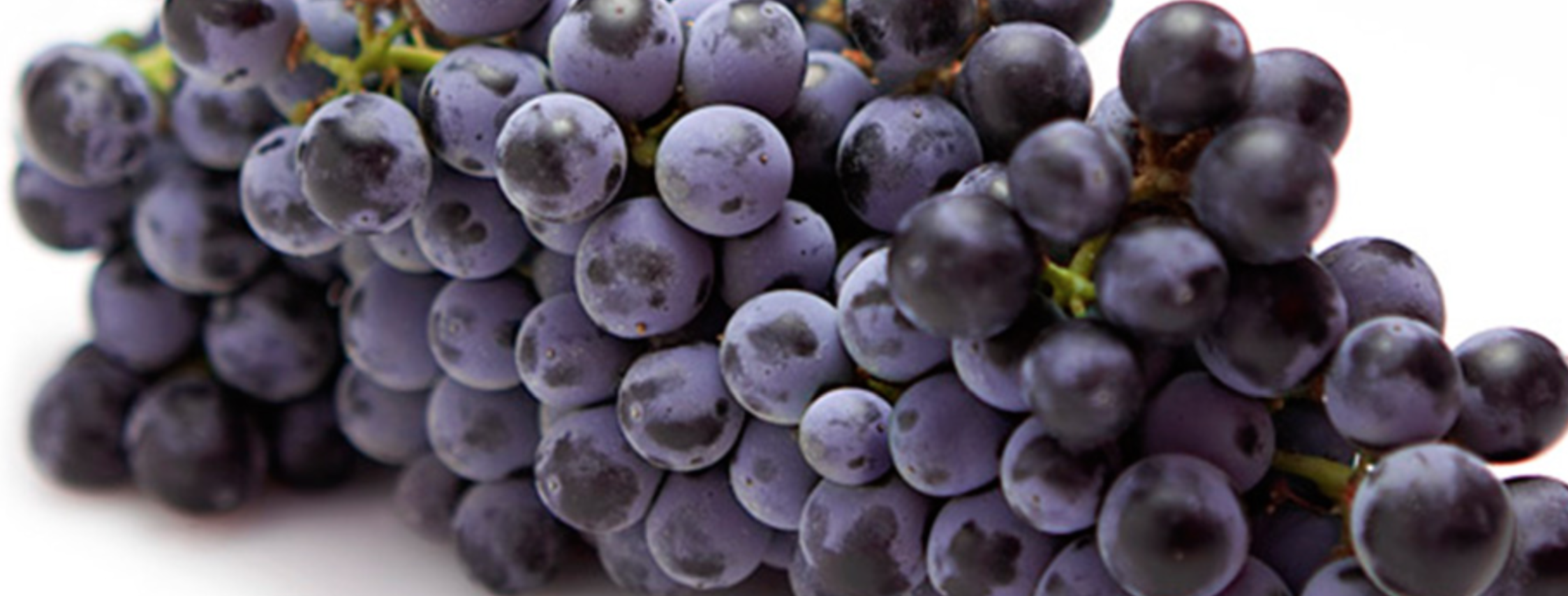 A More Suitable Marriage than Cab and Merlot: Nero d’Avola and Frappato