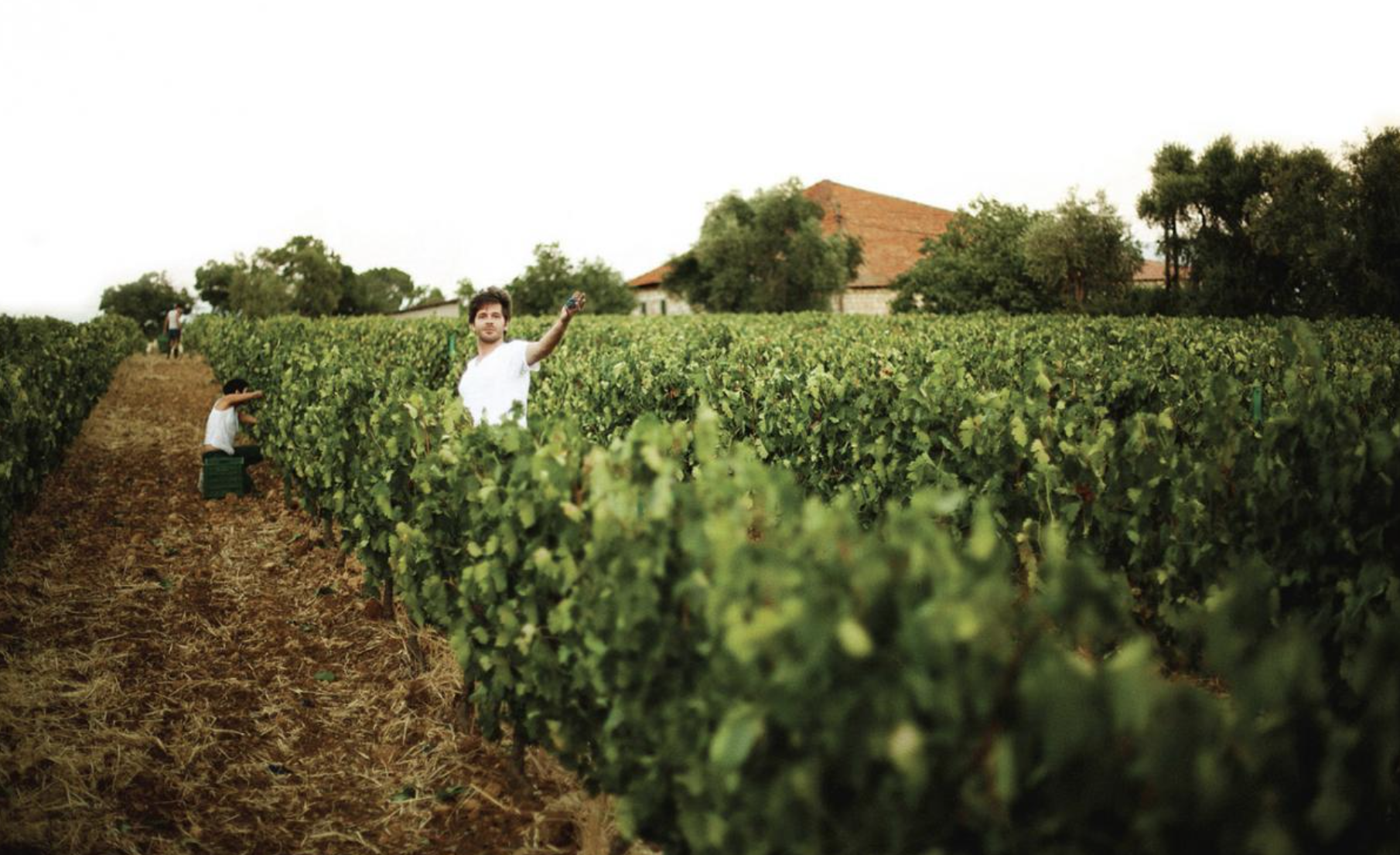 Faouzi Issa of Domaine des Tourelles: Making the Adopted Grape Cinsault Shine in Bekaa Valley, Lebanon