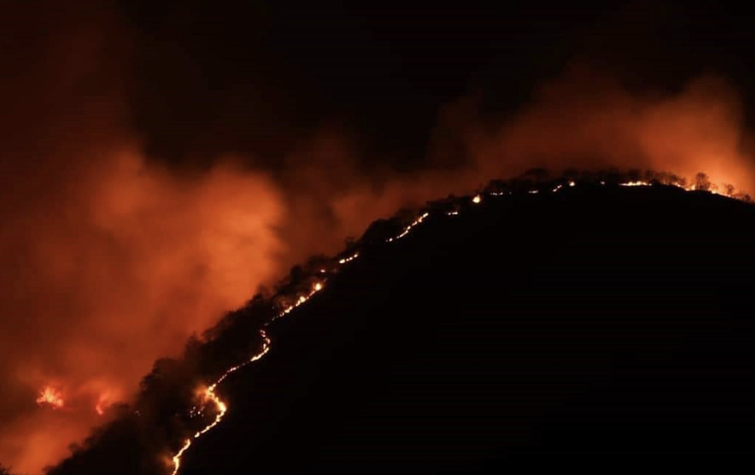Victims of California’s Fires Need Your Help. Here’s How.