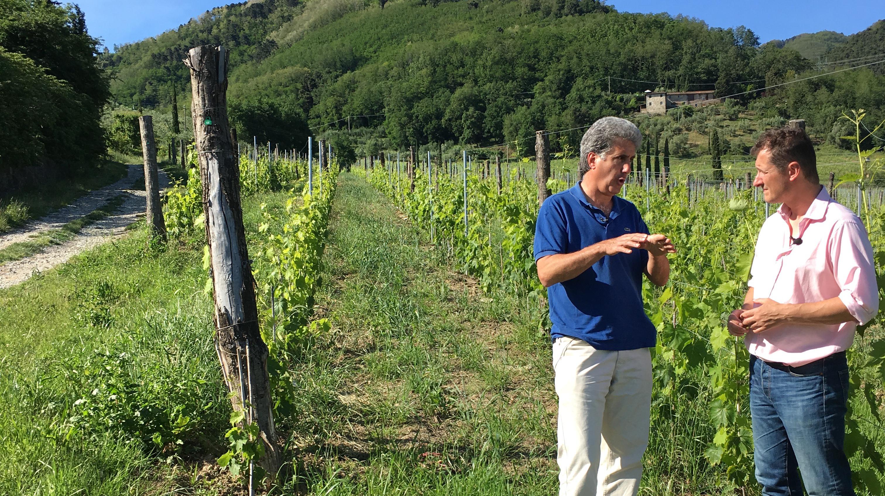 Monty Waldin on Hipster Somms and why "Black Magic" Wine is Delicious Wine