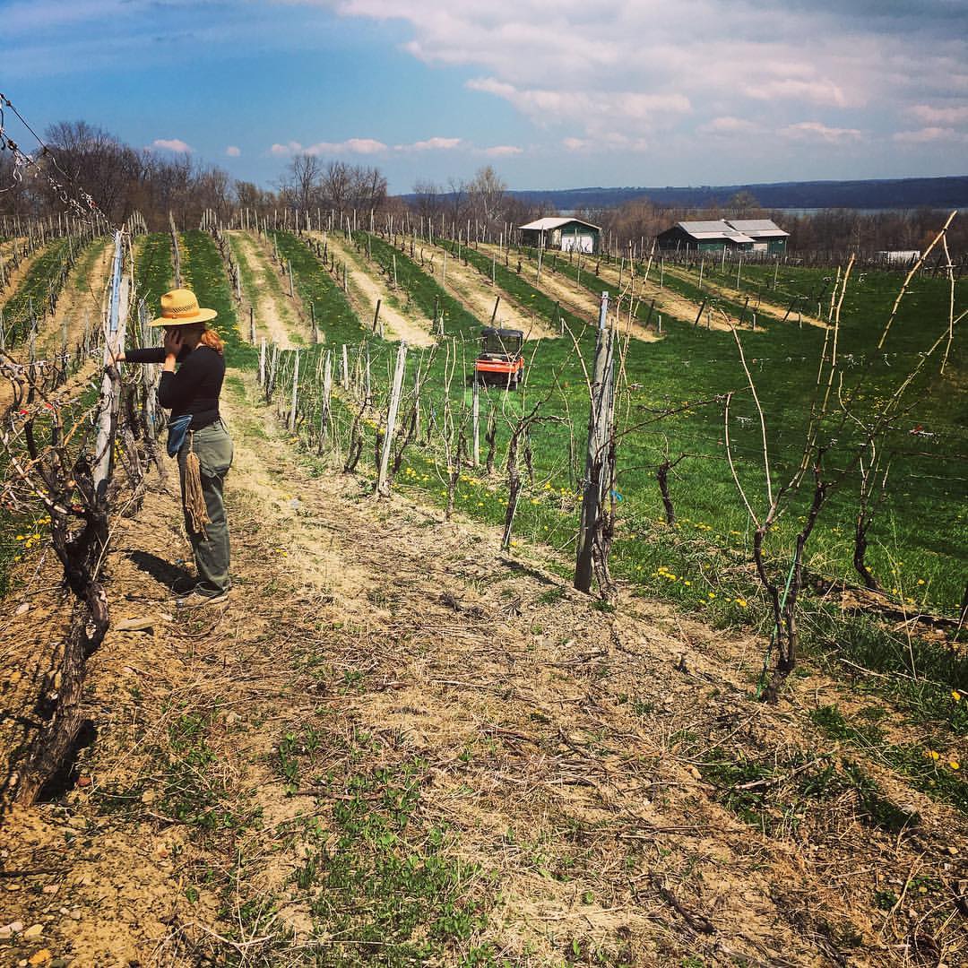 Bob Madill, Sheldrake Point in the Finger Lakes