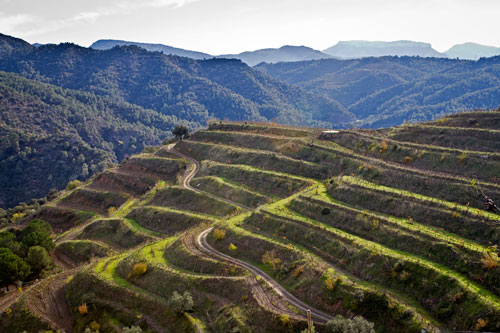 Priorato and the Nine Villages