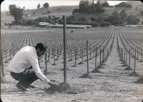 The King of Carneros: Dr. Tony Truchard