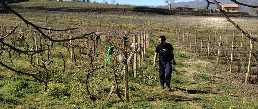 Eduardo Torres Acosta’s volcanic wine journey from Tenerife to Mt Etna Sicily