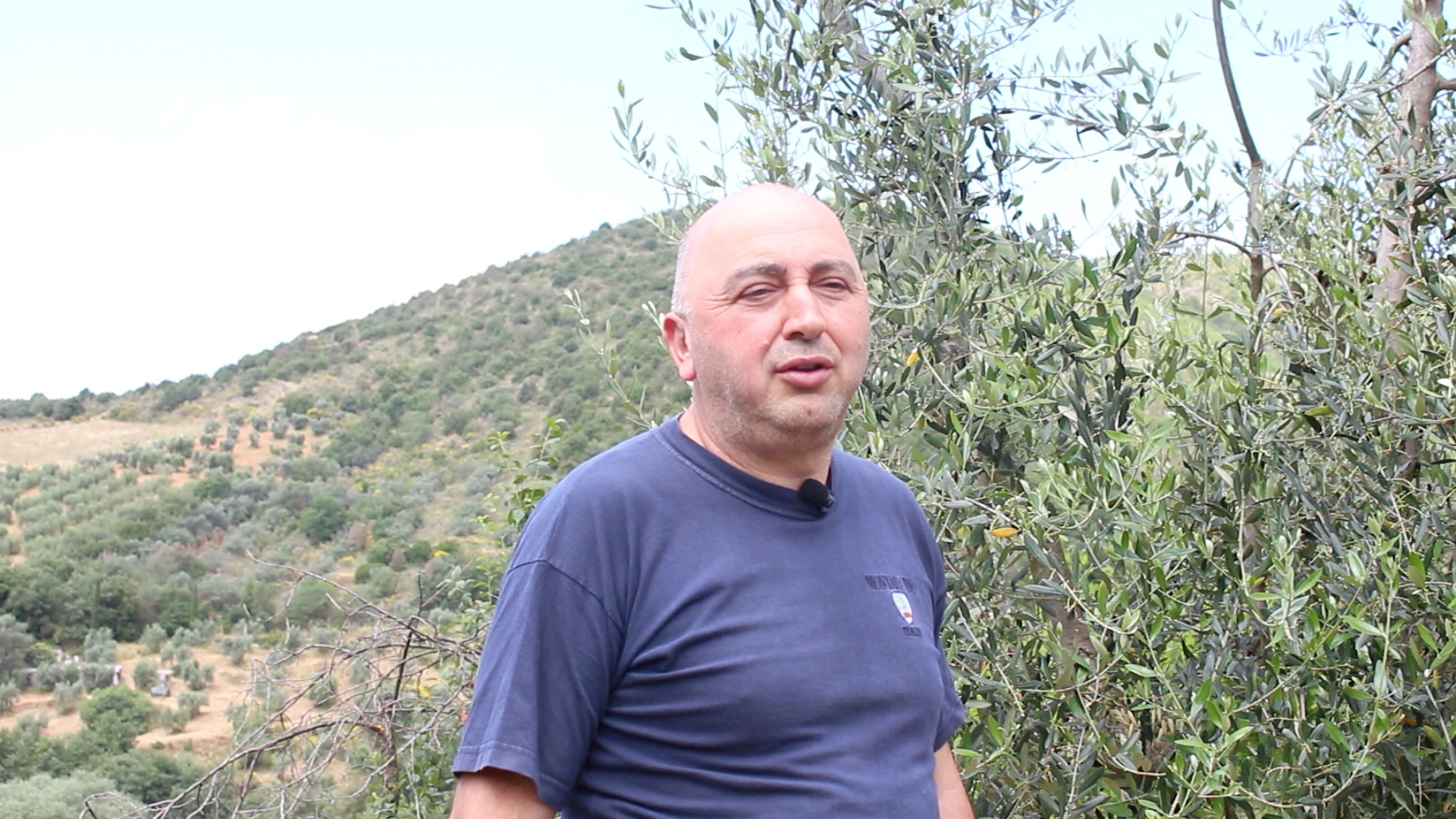 Andrea Cortonesi, Uccelliera