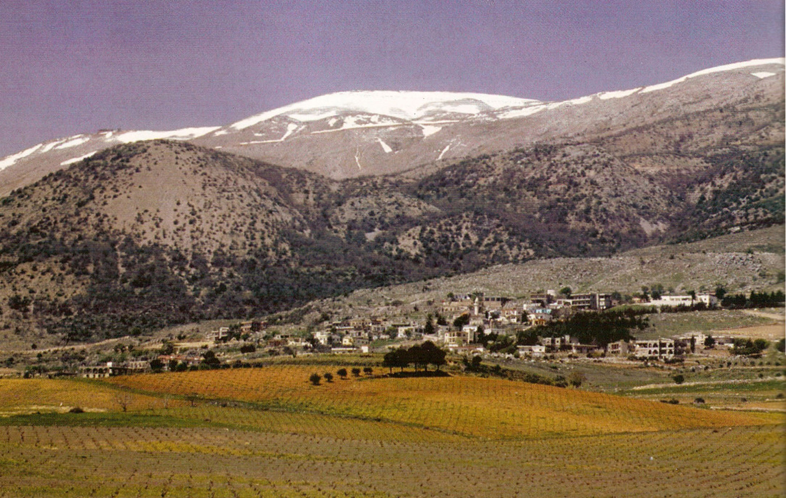 Marc Hochar on The Journey of Chateau Musar