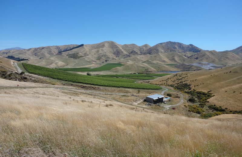 Celebrity Flying Winemakers Have Grapes Flown to Them