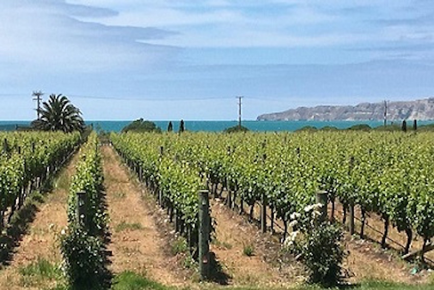 The Inspiring and Iconic Women Winemakers of New Zealand's Hawke's Bay Wine Region