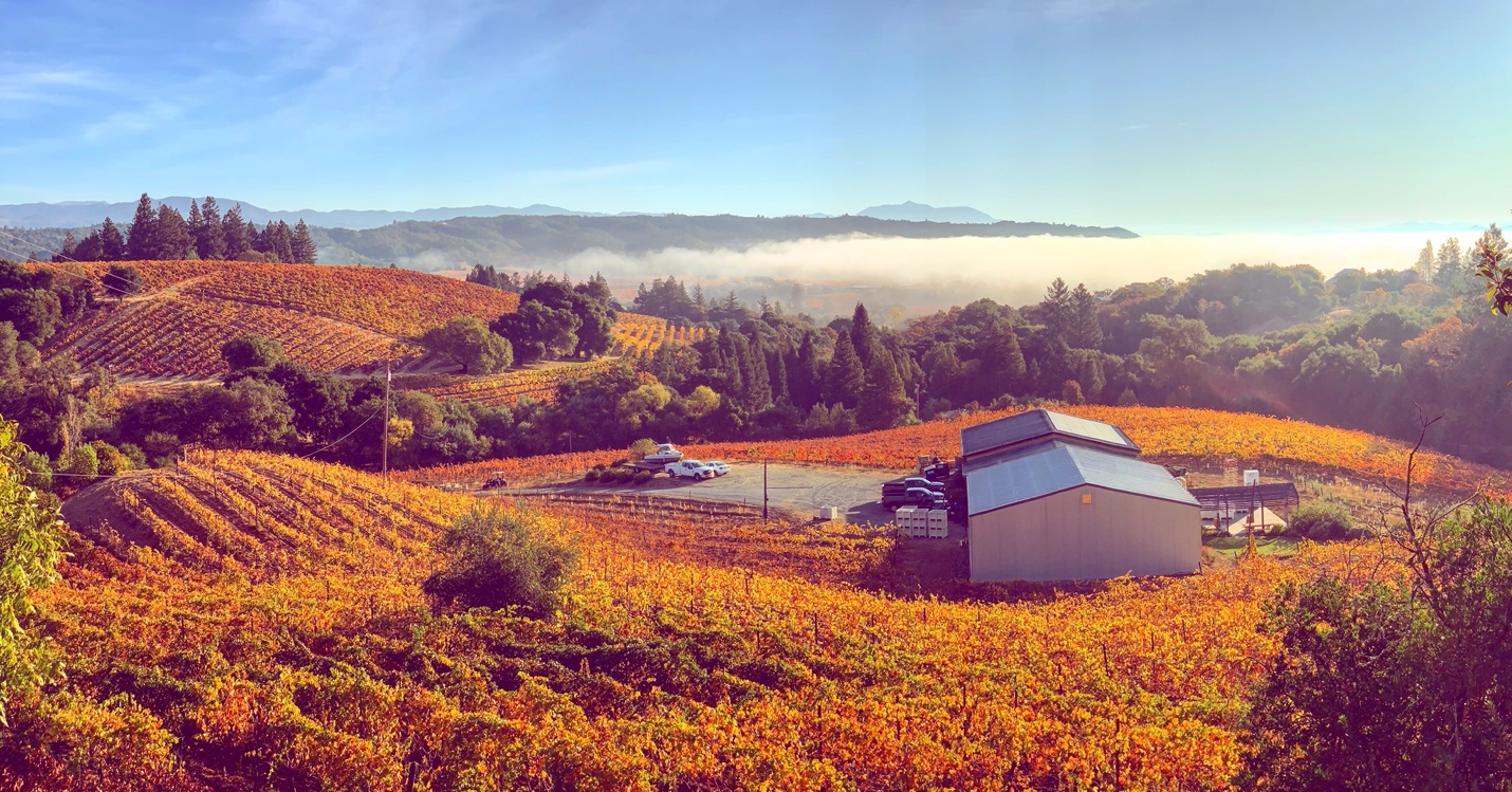 Keeping It in the Family: Next Generation Successes in Sonoma County