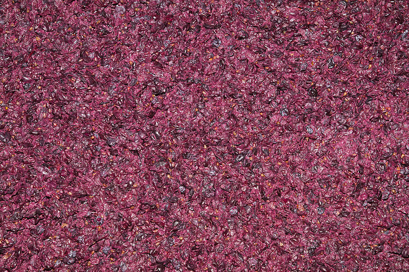 How to Make a 1,000,000 Gallon Batch of Wine