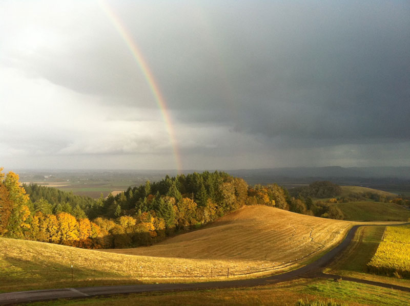 Twitter Talk: Biodynamics and the Pinot Noir of Oregon’s Youngberg Hill