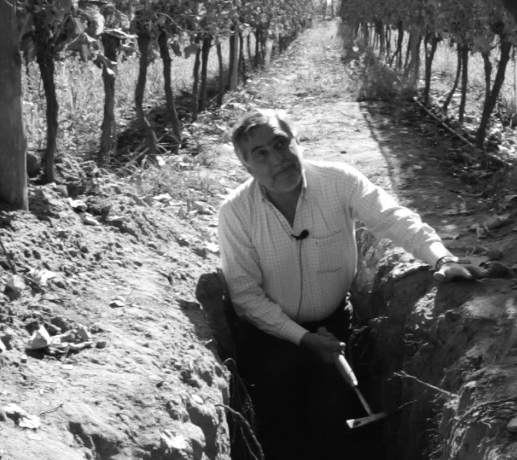 Mendoza the home of Malbec